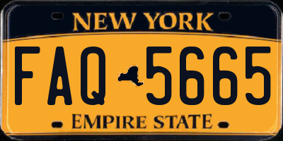 NY license plate FAQ5665
