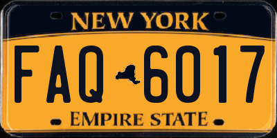 NY license plate FAQ6017
