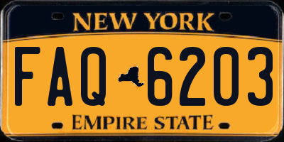 NY license plate FAQ6203