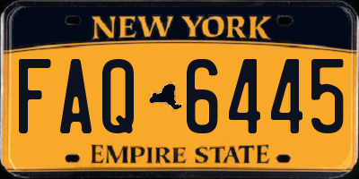 NY license plate FAQ6445