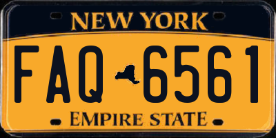 NY license plate FAQ6561
