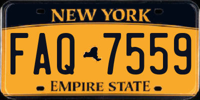 NY license plate FAQ7559
