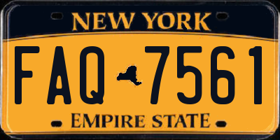 NY license plate FAQ7561