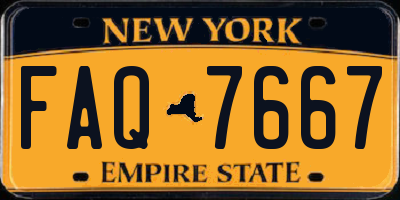 NY license plate FAQ7667