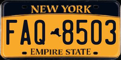NY license plate FAQ8503