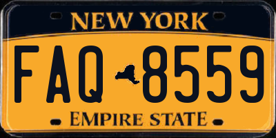 NY license plate FAQ8559