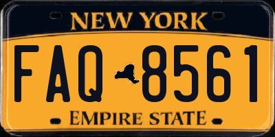NY license plate FAQ8561