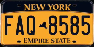 NY license plate FAQ8585
