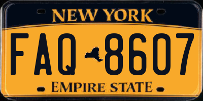 NY license plate FAQ8607