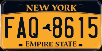 NY license plate FAQ8615