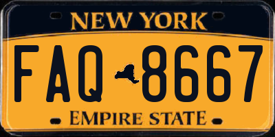 NY license plate FAQ8667