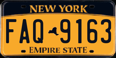 NY license plate FAQ9163
