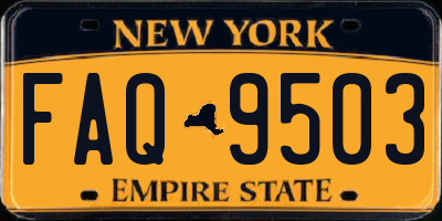 NY license plate FAQ9503