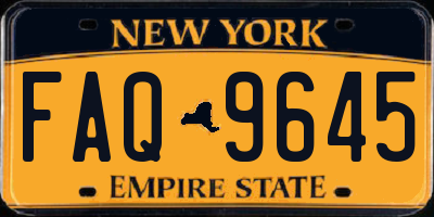 NY license plate FAQ9645
