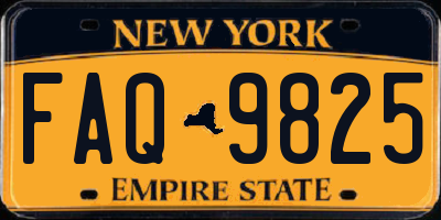 NY license plate FAQ9825