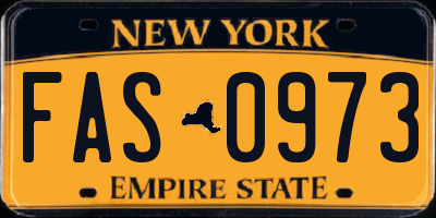 NY license plate FAS0973