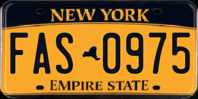 NY license plate FAS0975