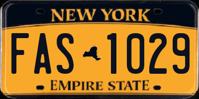 NY license plate FAS1029