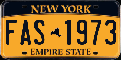NY license plate FAS1973