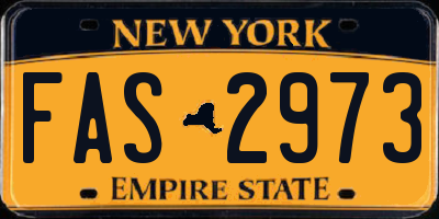 NY license plate FAS2973