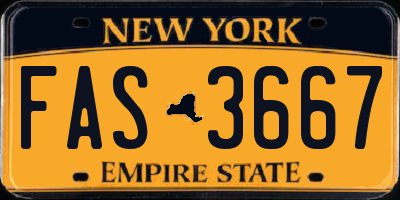 NY license plate FAS3667