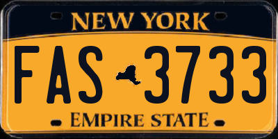 NY license plate FAS3733
