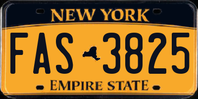 NY license plate FAS3825