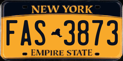 NY license plate FAS3873