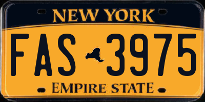 NY license plate FAS3975