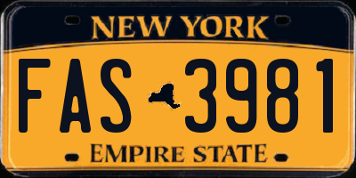 NY license plate FAS3981