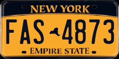 NY license plate FAS4873