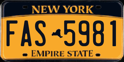 NY license plate FAS5981
