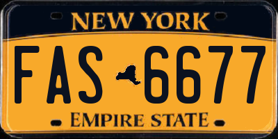 NY license plate FAS6677