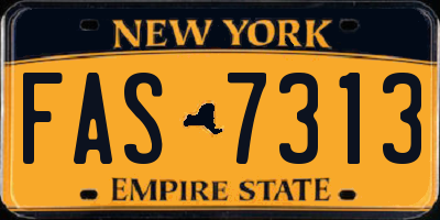 NY license plate FAS7313