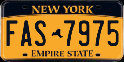 NY license plate FAS7975