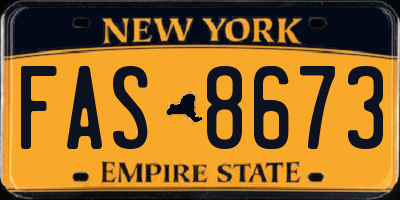 NY license plate FAS8673