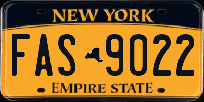 NY license plate FAS9022