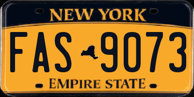 NY license plate FAS9073