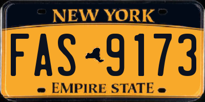 NY license plate FAS9173