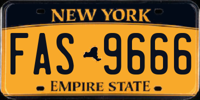 NY license plate FAS9666