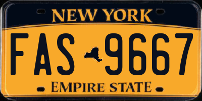 NY license plate FAS9667