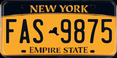 NY license plate FAS9875