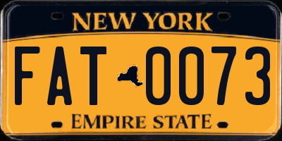 NY license plate FAT0073