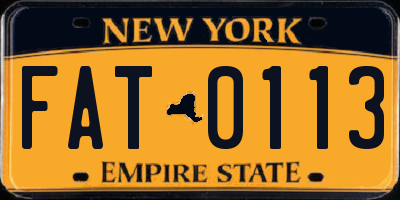 NY license plate FAT0113