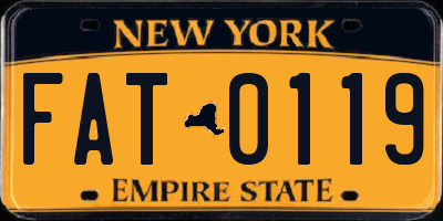 NY license plate FAT0119