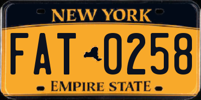 NY license plate FAT0258