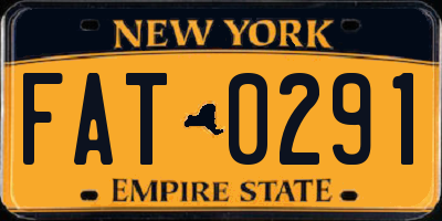 NY license plate FAT0291