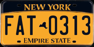 NY license plate FAT0313