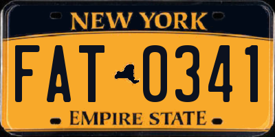NY license plate FAT0341