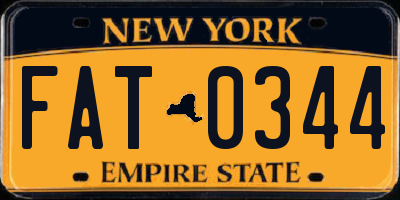 NY license plate FAT0344